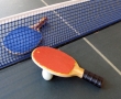 Poze Ping Pong